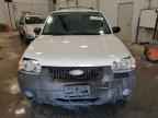 2005 FORD ESCAPE