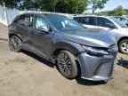 2023 LEXUS RX 350H