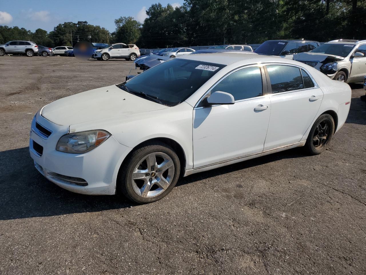 2010 CHEVROLET MALIBU
