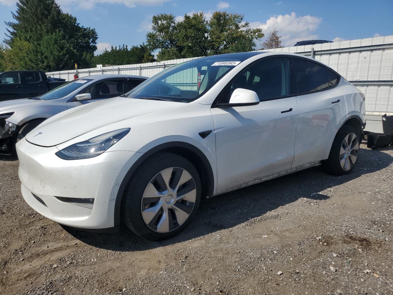 2022 TESLA MODEL Y