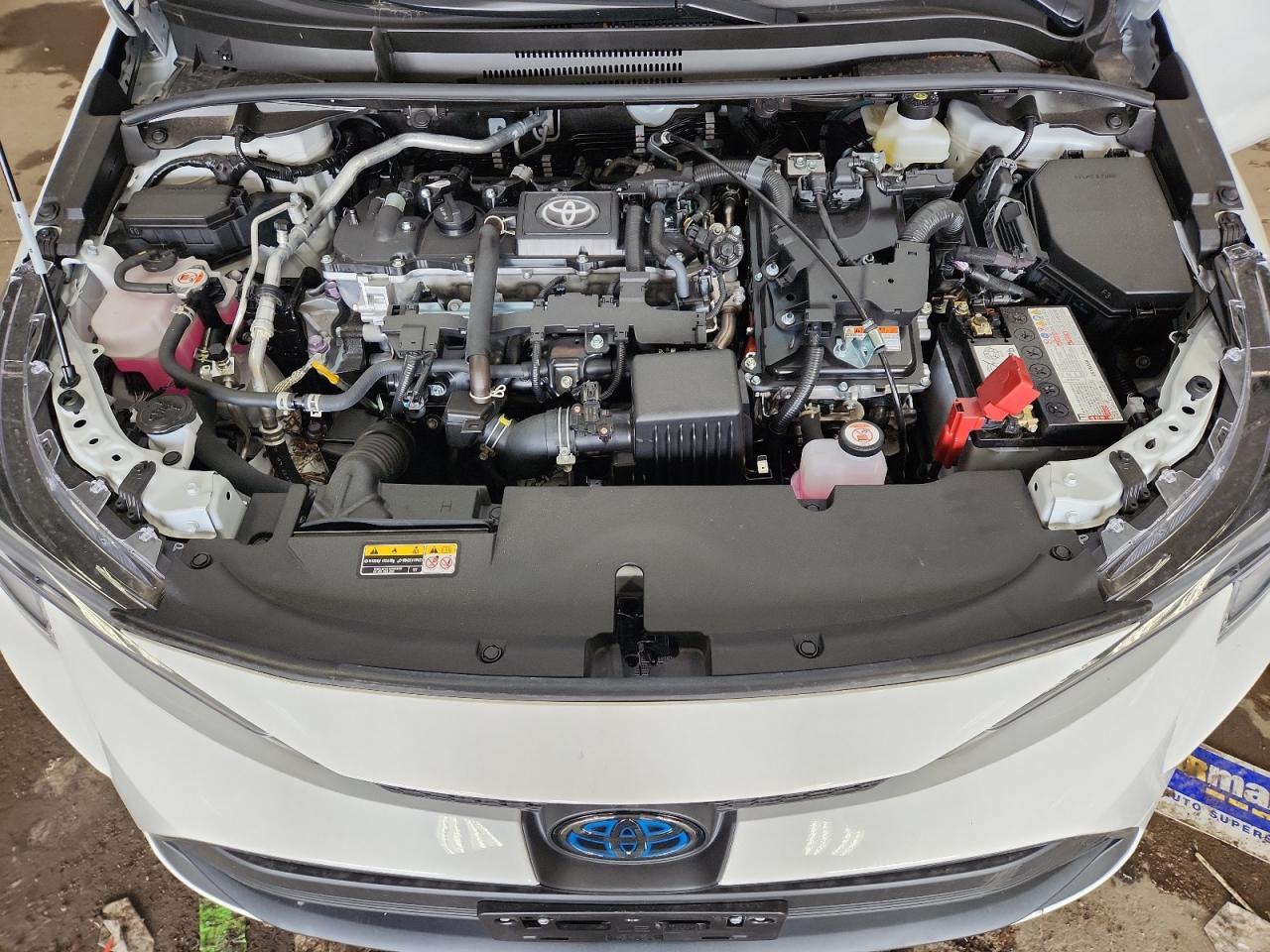 2025 TOYOTA COROLLA