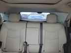 2024 CADILLAC XT5