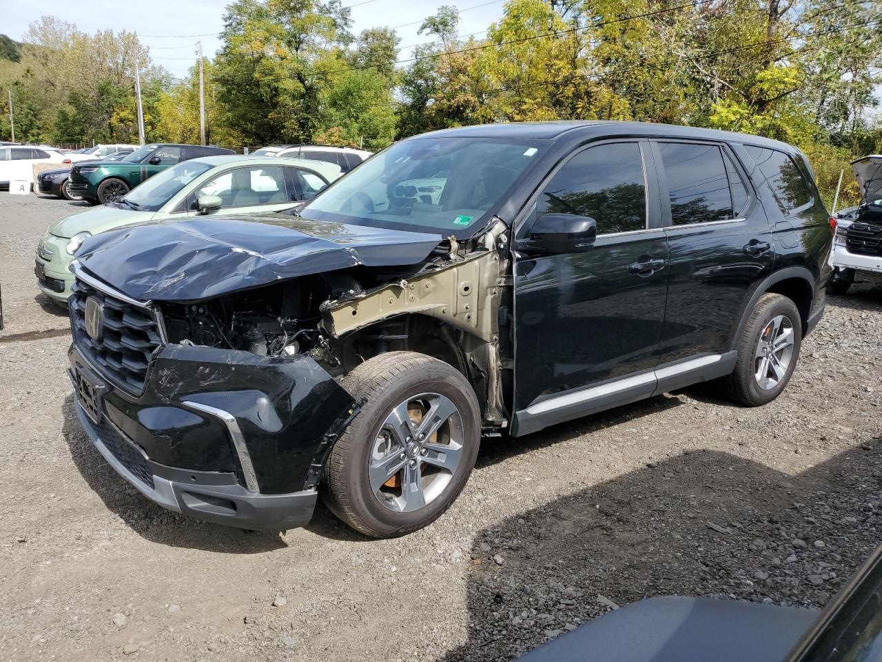 2024 HONDA PILOT