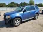 2010 FORD ESCAPE