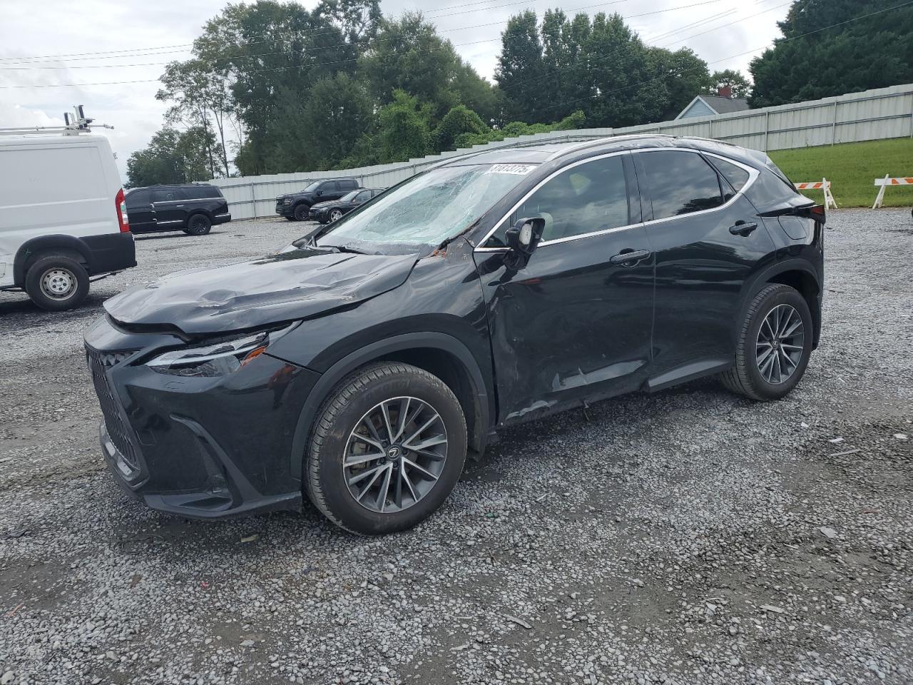 2024 LEXUS Nx