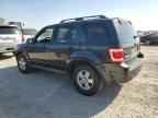 2009 FORD ESCAPE