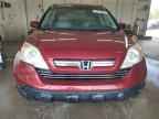 2009 HONDA CR-V