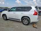 2013 LEXUS GX 460
