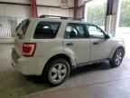2009 FORD ESCAPE