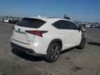 2019 LEXUS Nx