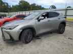 2024 LEXUS NX 250