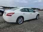2010 NISSAN Maxima