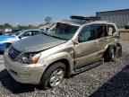 2006 LEXUS Gx 470