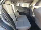 2024 TOYOTA VENZA