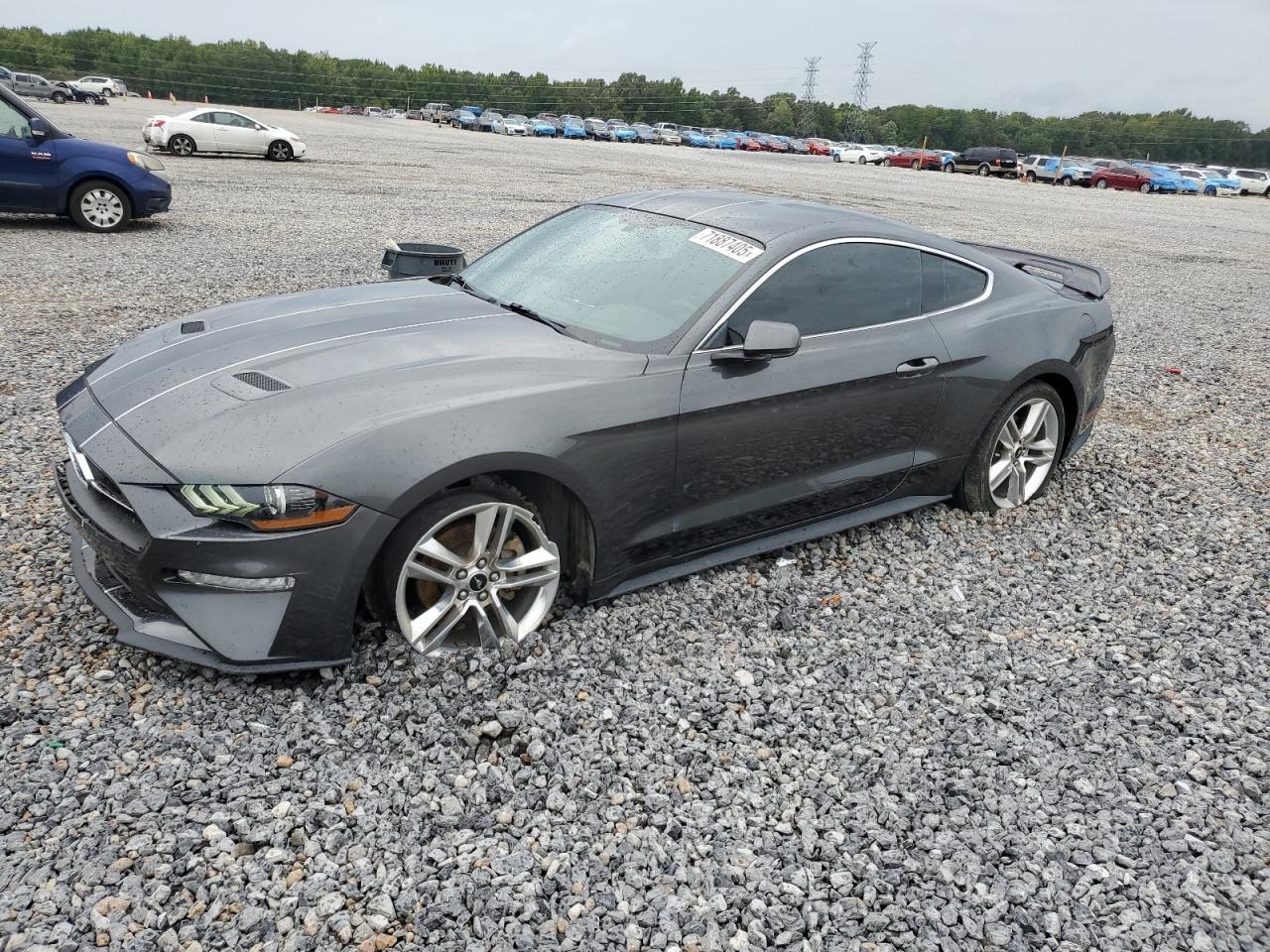 2019 FORD MUSTANG
