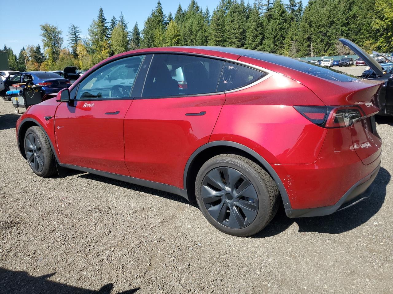 2024 TESLA MODEL Y