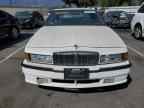 1989 BUICK Regal