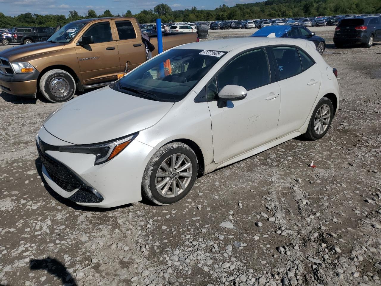 2024 TOYOTA COROLLA