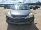 2010 HONDA CR-V