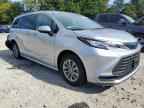 2023 TOYOTA SIENNA