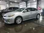 2015 TOYOTA Avalon