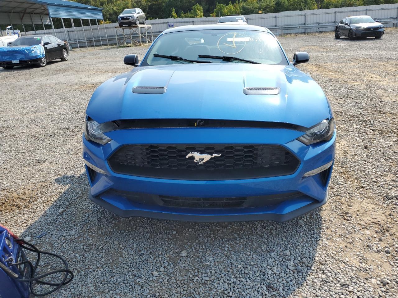 2019 FORD MUSTANG