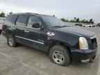 2011 CADILLAC ESCALADE