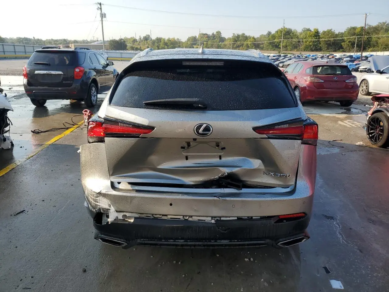 2020 LEXUS Nx