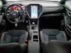 2024 SUBARU WRX