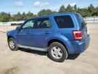 2010 FORD ESCAPE