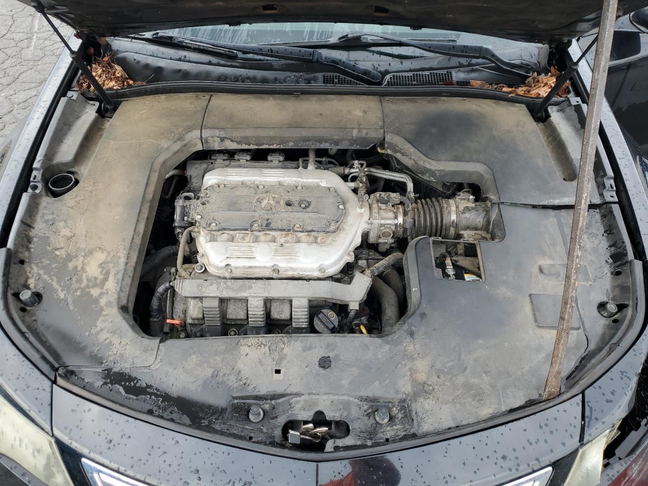 2013 ACURA TL
