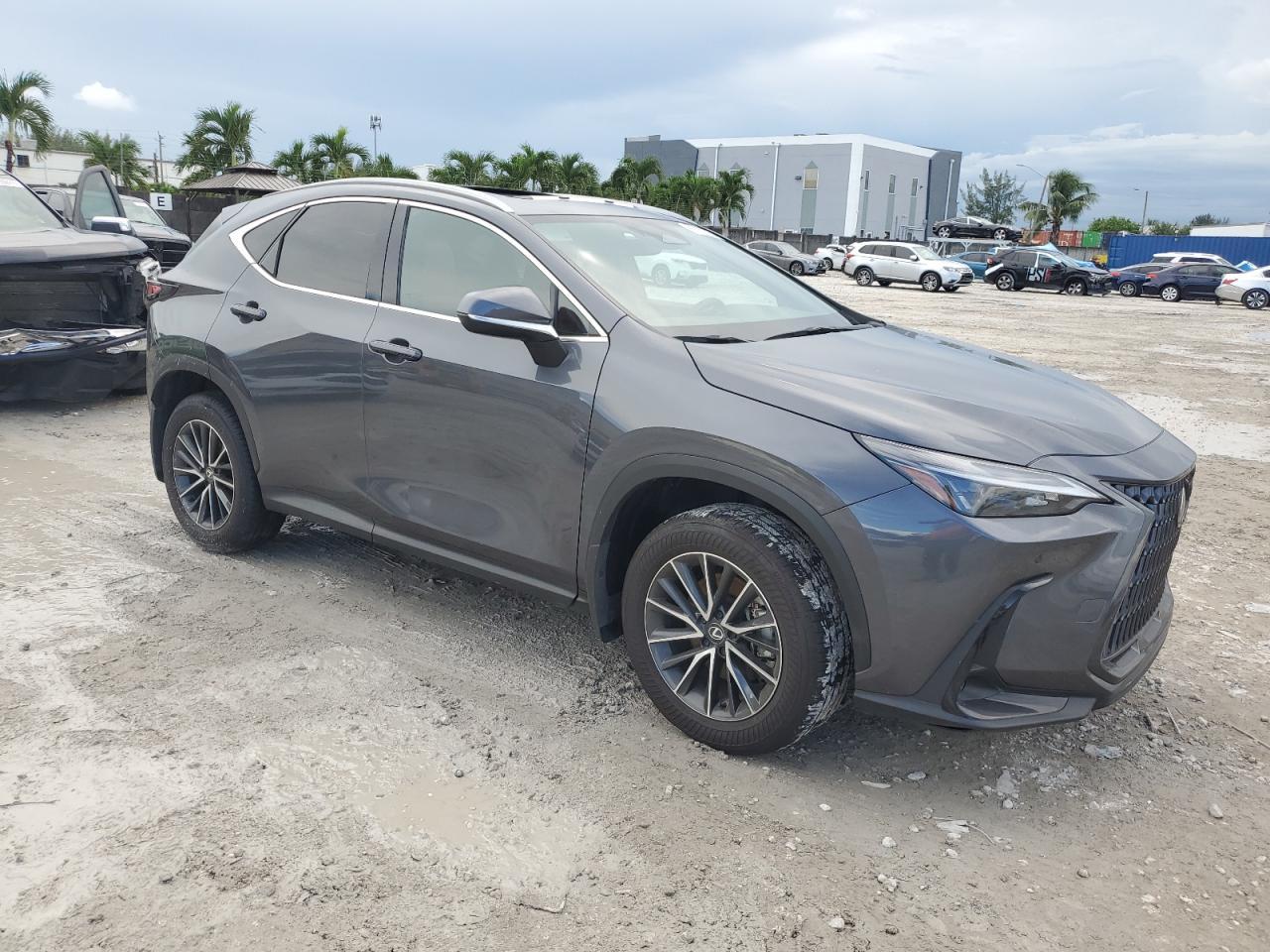 2025 LEXUS Nx
