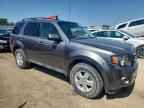 2010 FORD ESCAPE