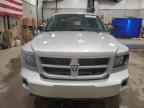 2010 DODGE Dakota