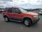 2006 FORD ESCAPE