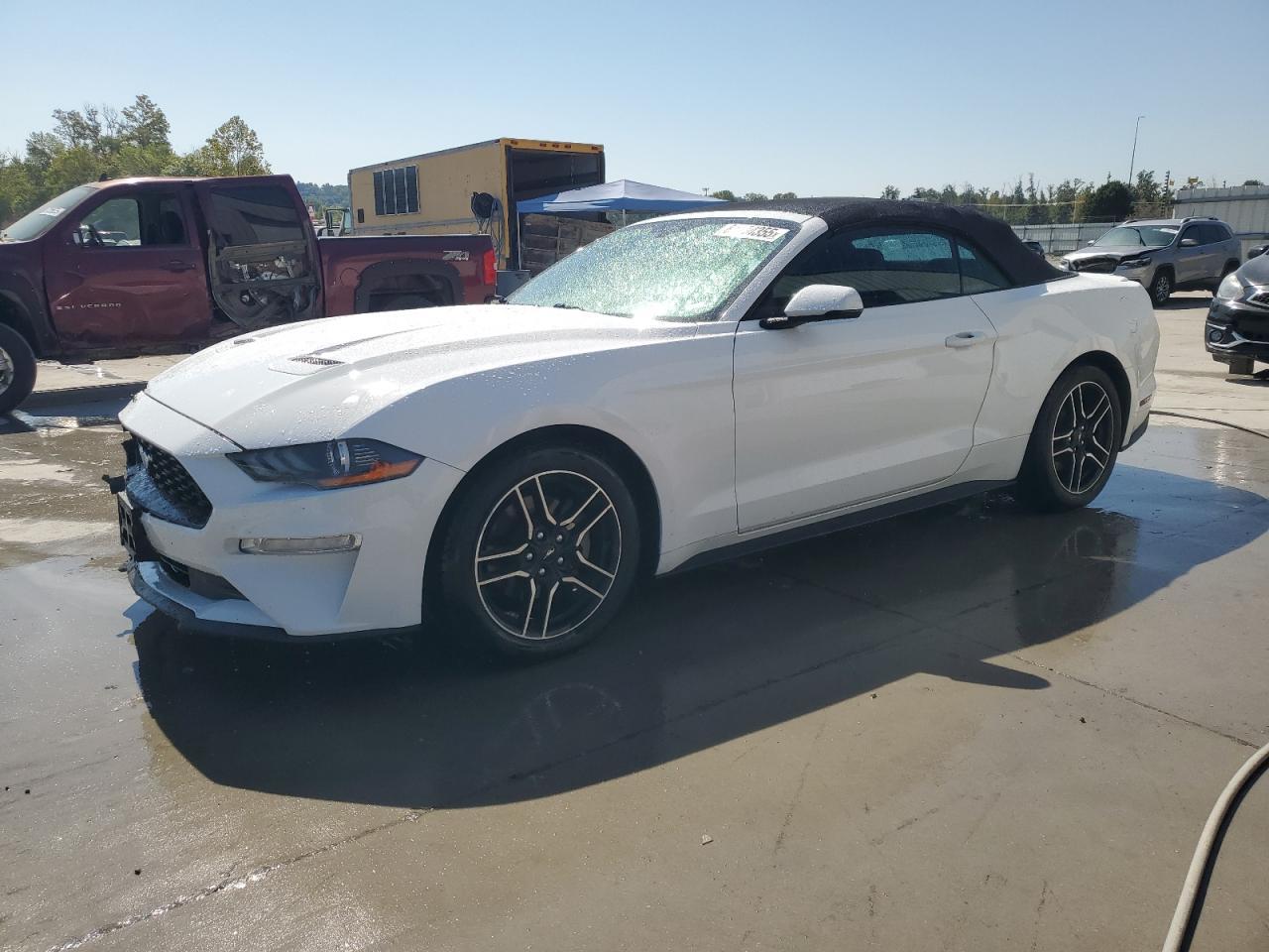2019 FORD MUSTANG