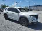 2024 HONDA PILOT