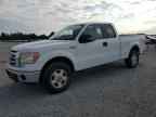 2009 FORD F-150