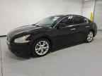 2014 NISSAN Maxima