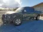 2006 TOYOTA TUNDRA