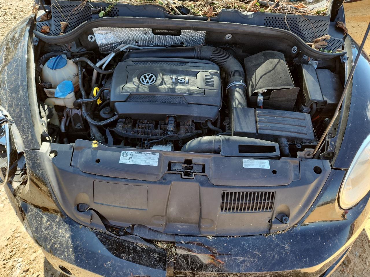2014 VOLKSWAGEN Beetle