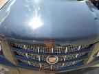 2013 CADILLAC ESCALADE