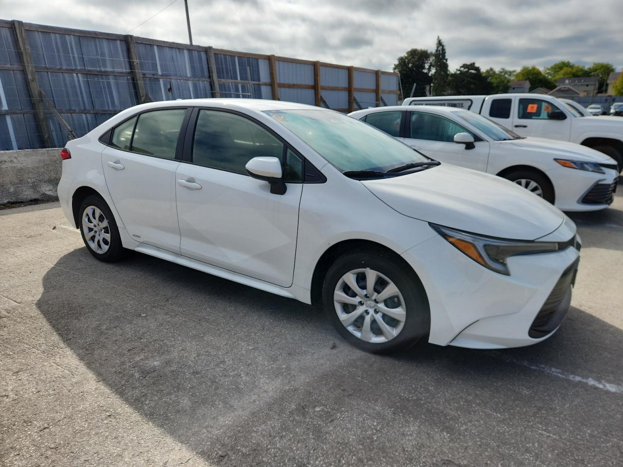 2025 TOYOTA COROLLA