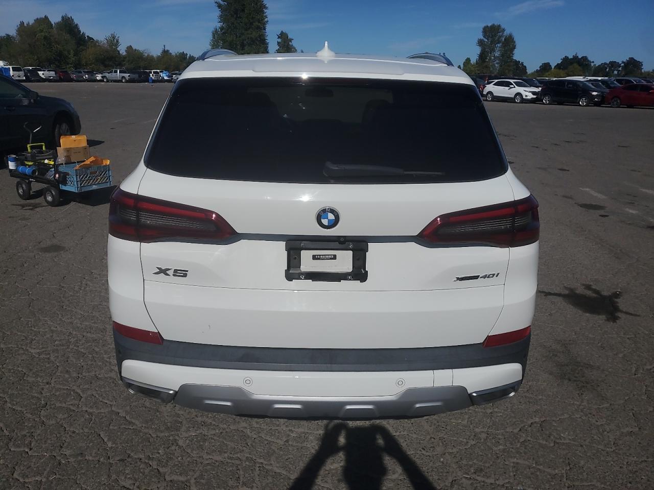2019 BMW X5