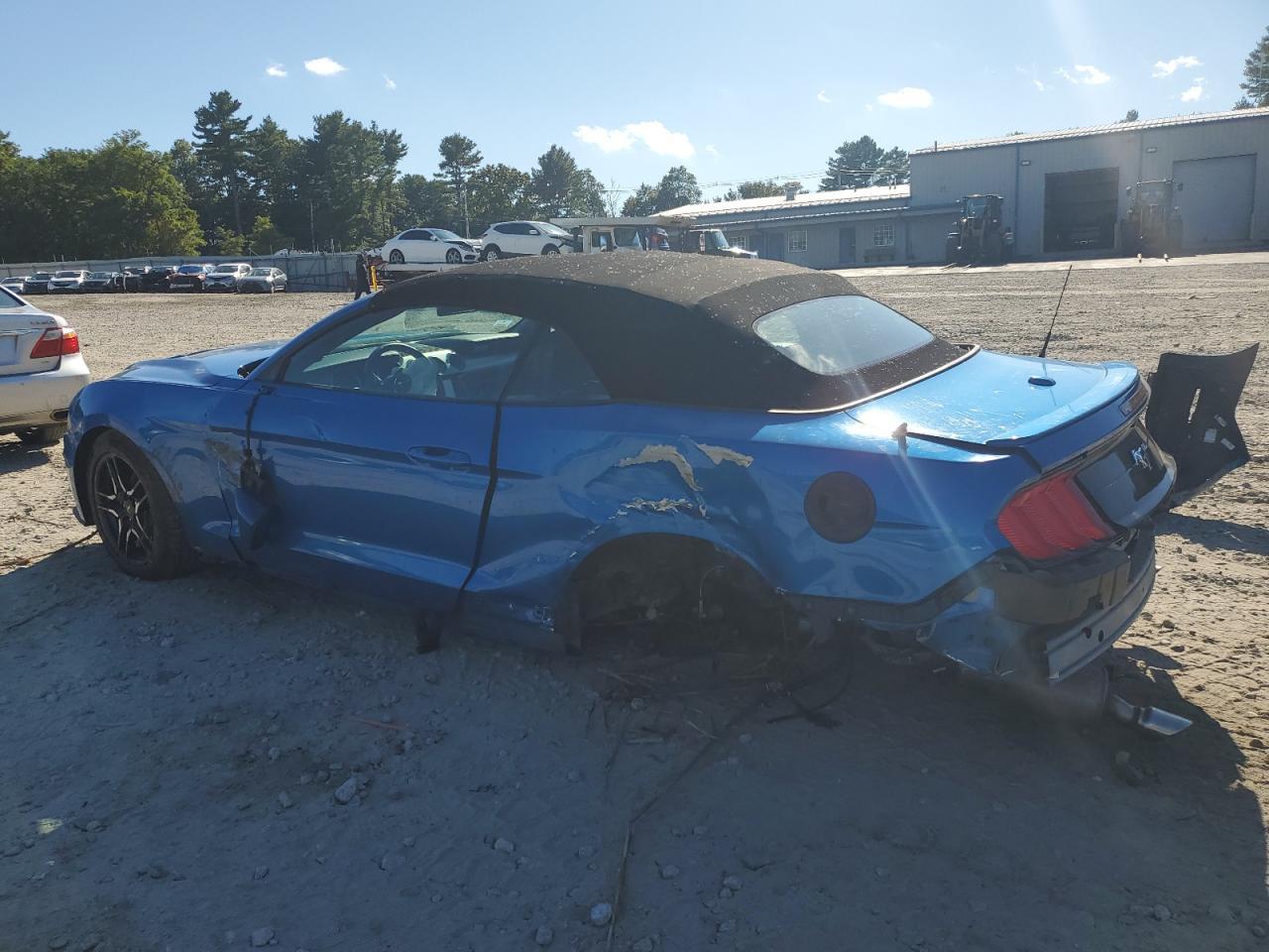 2019 FORD MUSTANG