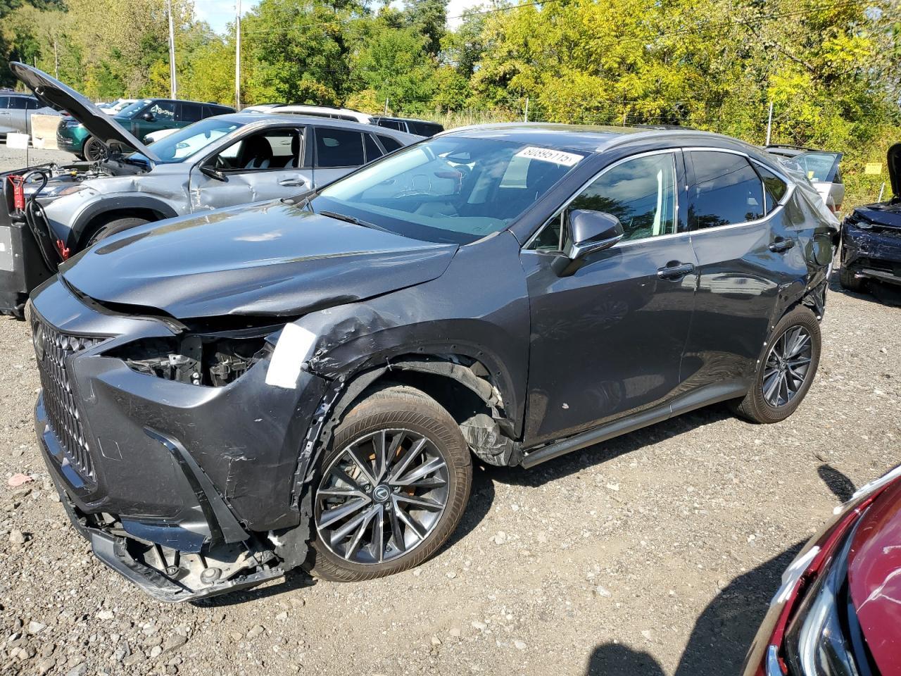 2024 LEXUS Nx