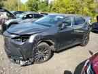 2024 LEXUS Nx
