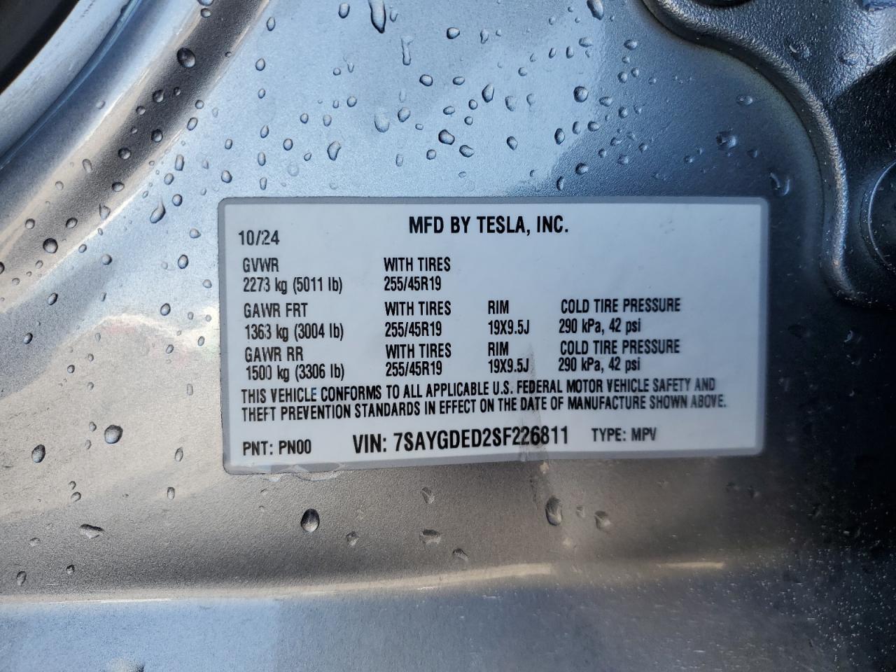2025 TESLA MODEL Y