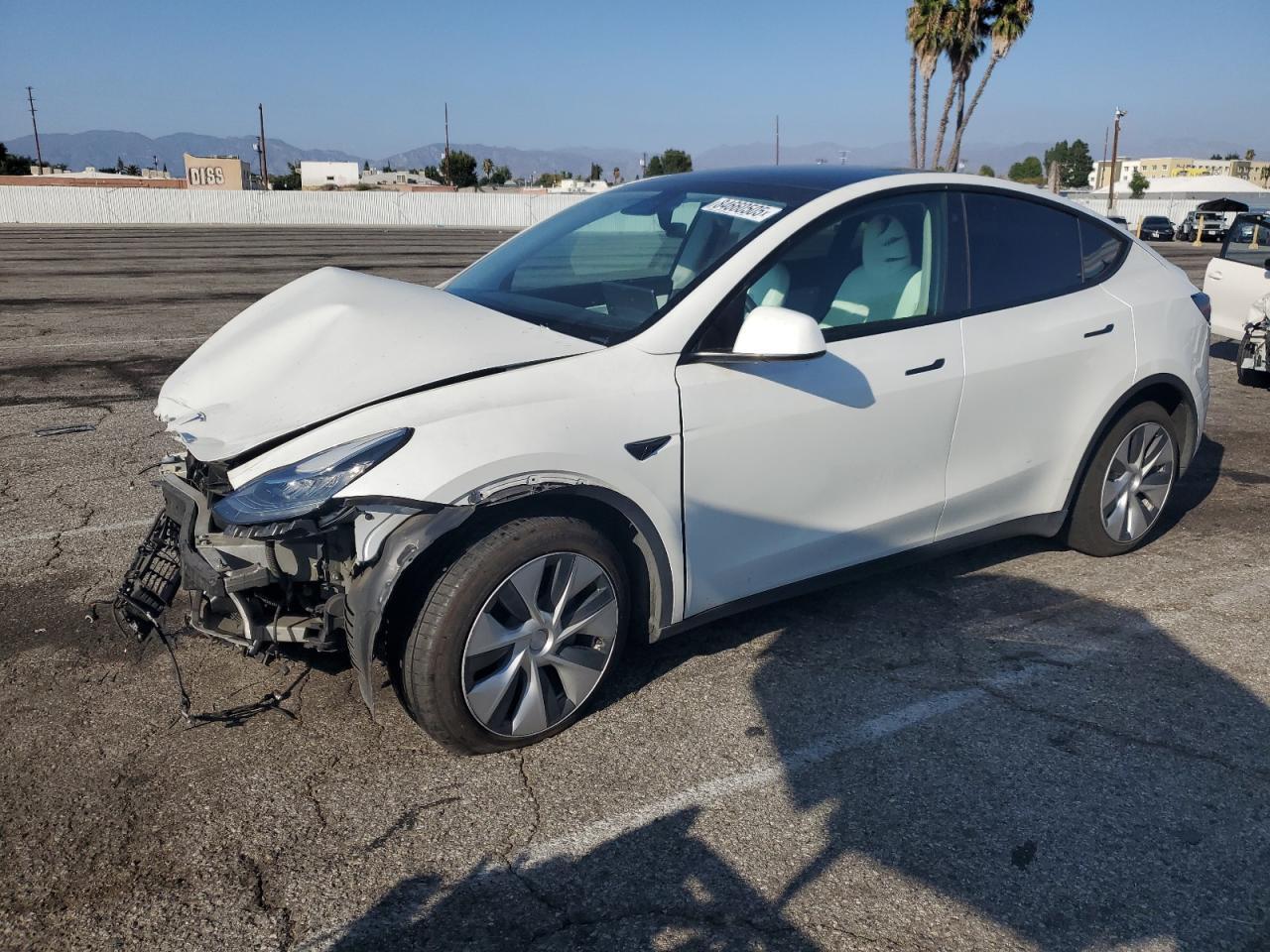 2021 TESLA MODEL Y