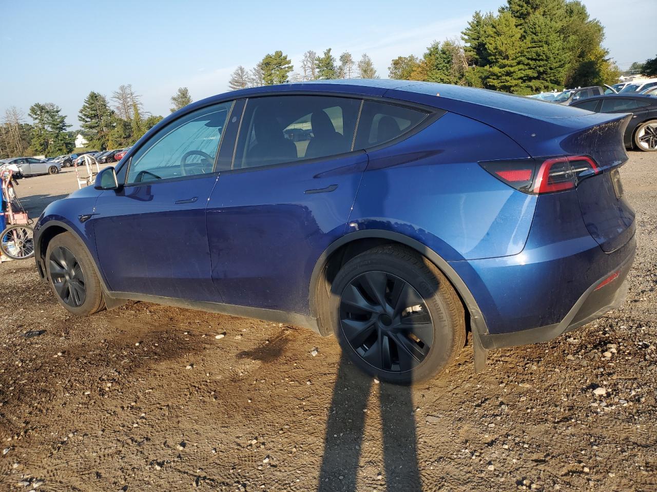 2024 TESLA MODEL Y